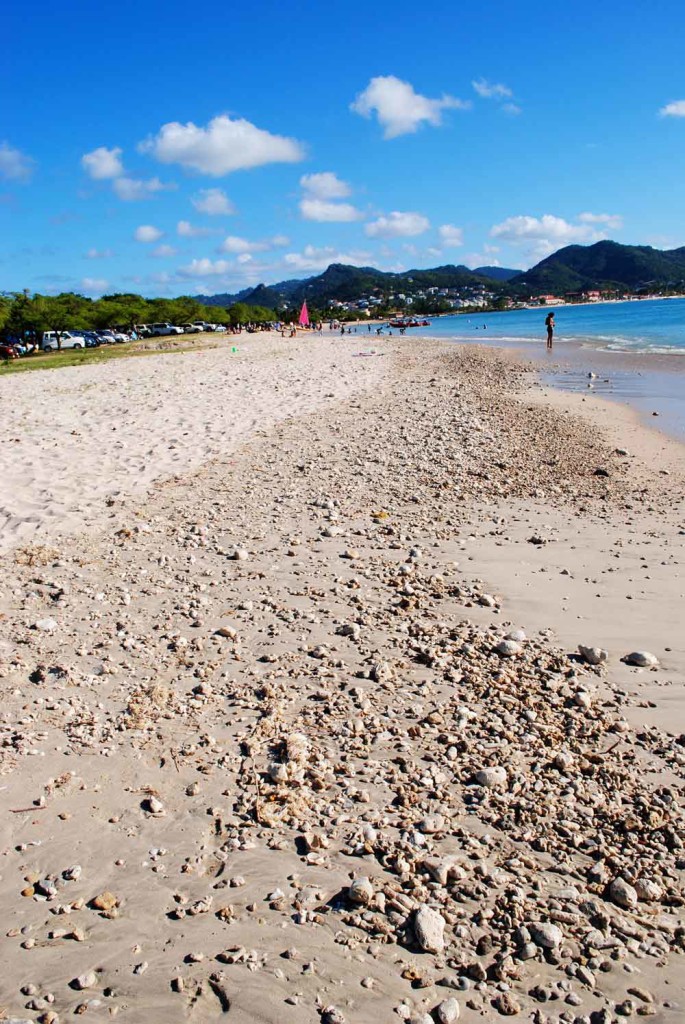 Beach, Rodney Bay, St. Lucia 