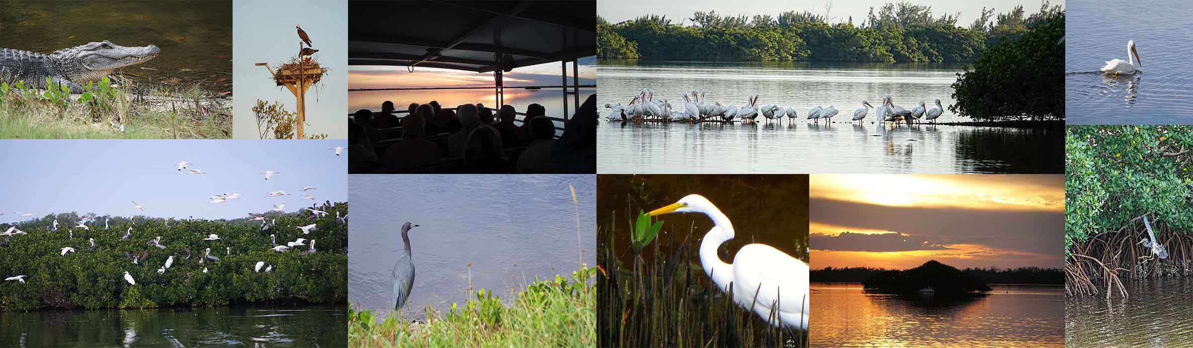 Ding Darling National Wildlife Refuge