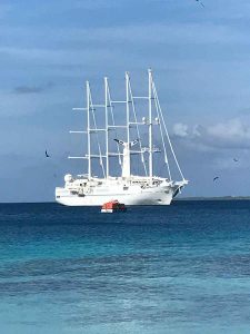 Windstar Spirit sailing ship