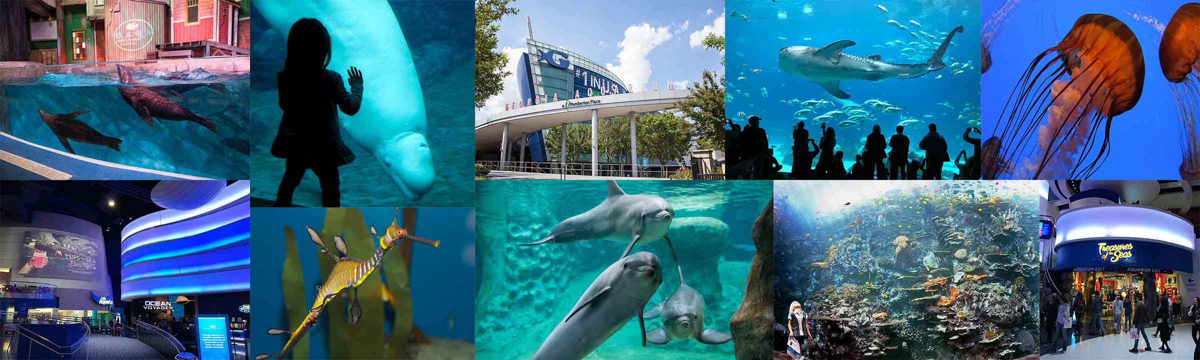 Georgia Aquarium indoor oceans banner