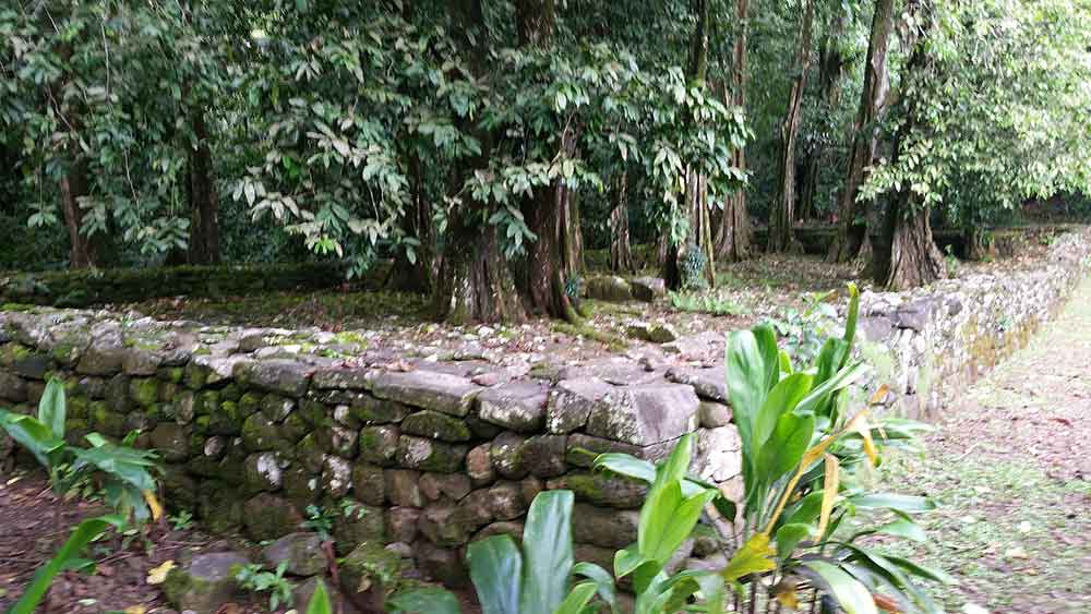 The site of sacred open air temples called marae. (Pi3.124 - Own work, CC BY-SA 4.0, https://commons.wikimedia.org/w/index.php?curid=60694100)