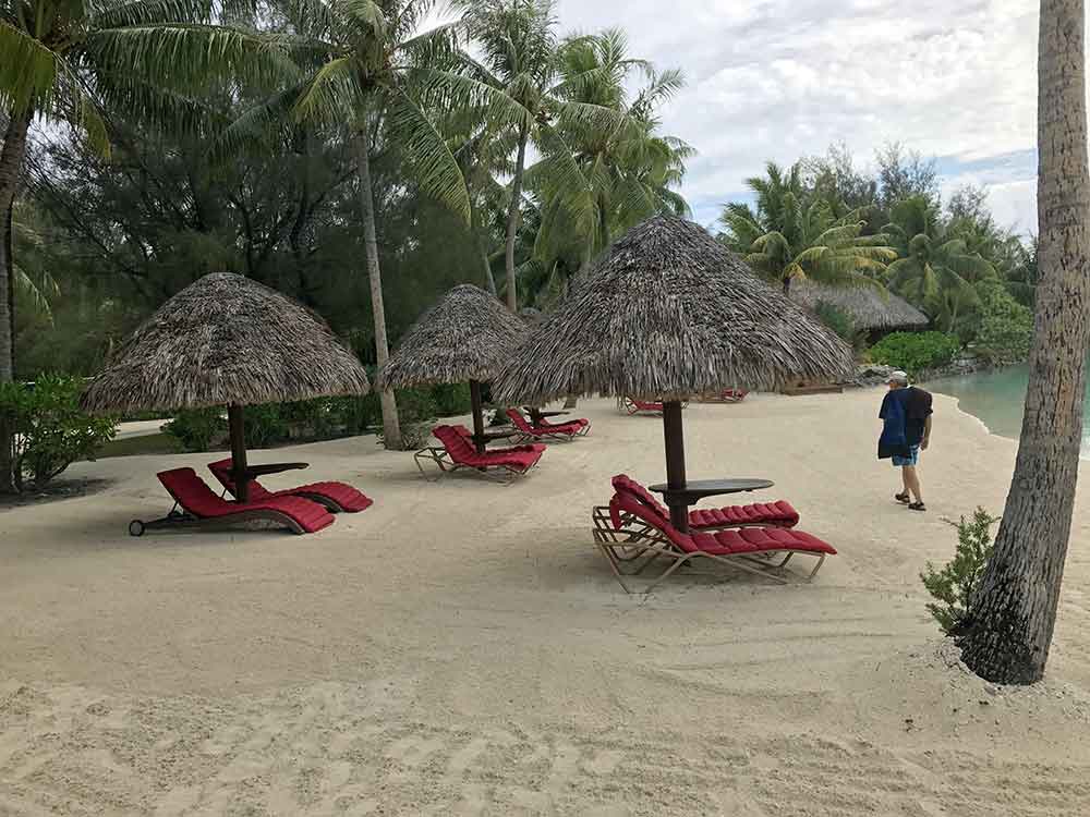 Beach by the lagoon sanctuary