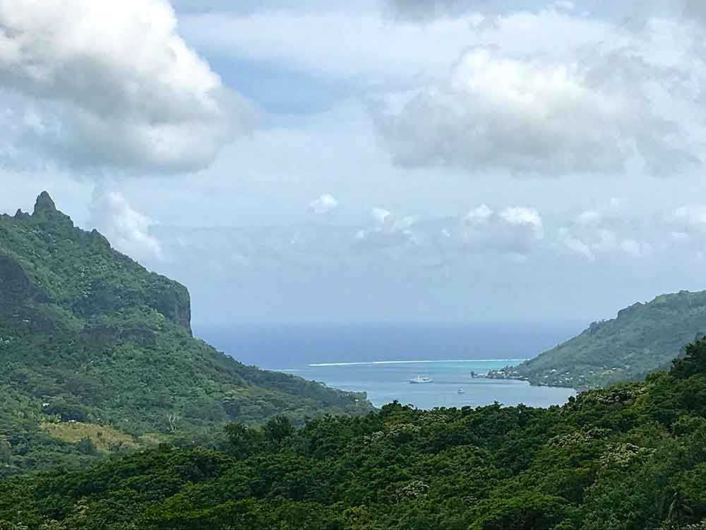 Belvedere Lookout is the highest overlook point accessible to visitors (unless you are into strenuous hikes up one of the peaks).