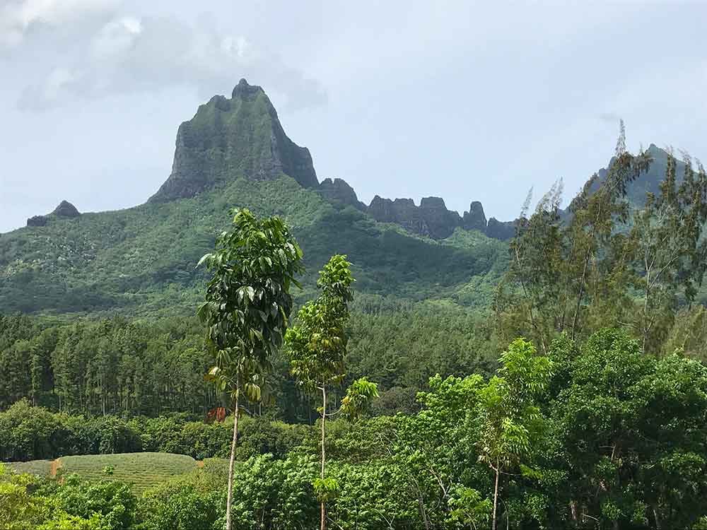 Mouaputa is also known as “Bali Hai,” or the “Shark’s Tooth, since it a small hole can be seen going through the very top of the mountain.