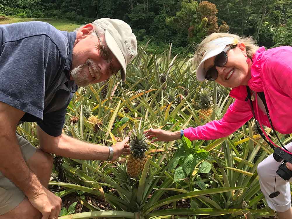 Us in the pineapple fields of Moorea.