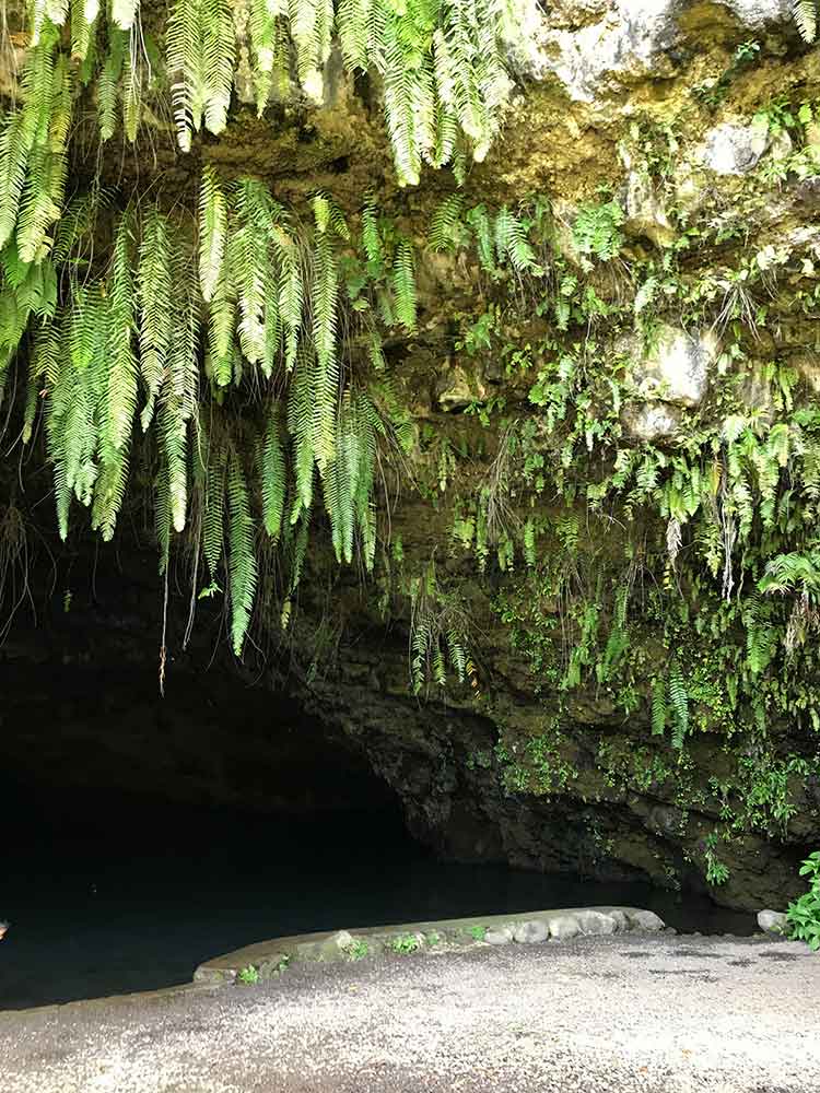 Fern Grotto where painter Paul Gauguin is said to have come to swim in the cold waters.