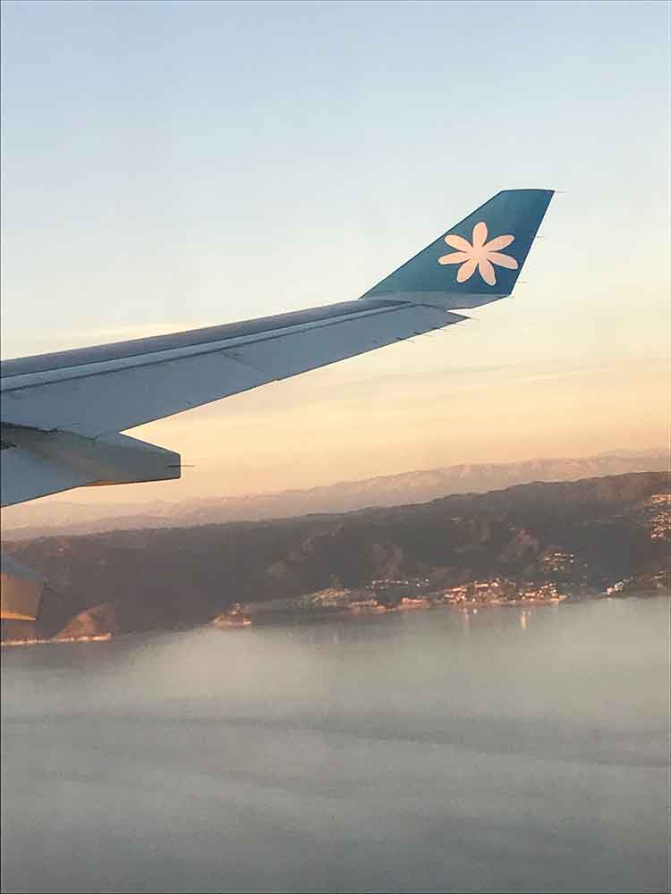 Tahiti plane wing
