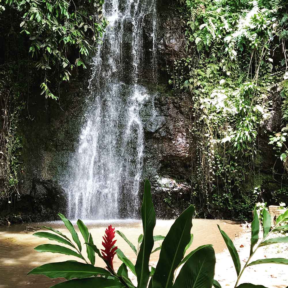 Waterfall at Vaipahi Gardens