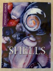 Shells book