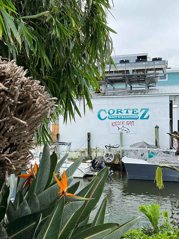 Cortez Bait & Seafood Fish Market