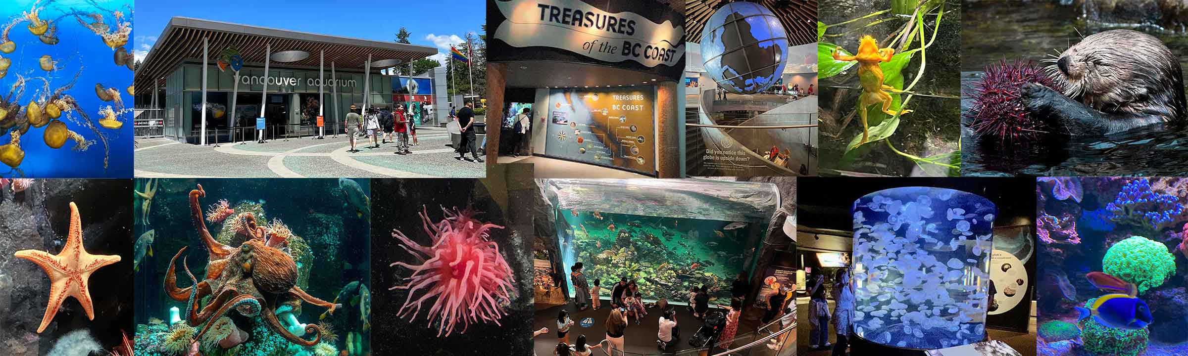 Vancouver Aquarium Banner Image