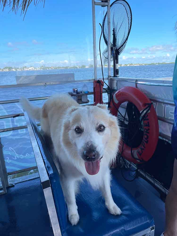 Dog mascot on Inlet Explorer