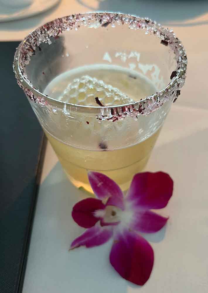 Hibiscus Bees Knees at Ophelia's