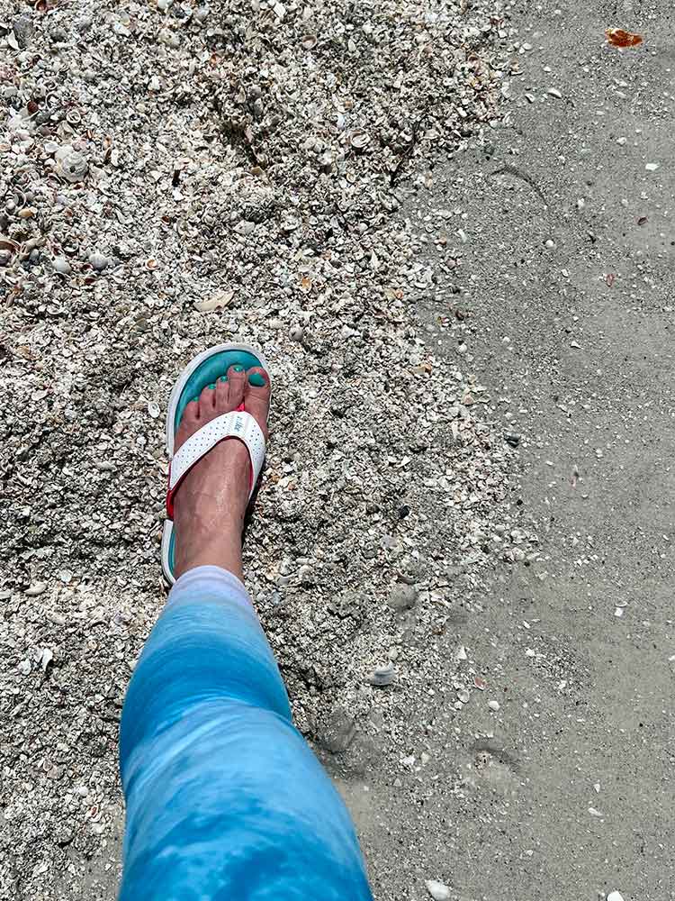 Leg and shells on Lido Beach
