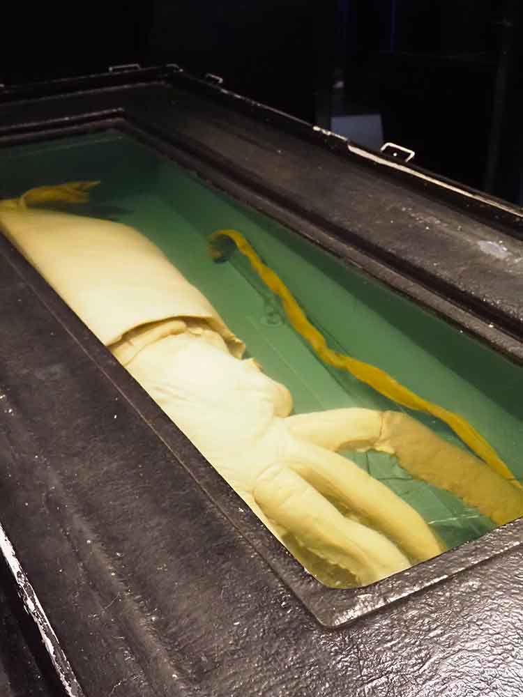 Giant Squid at Mote Marine