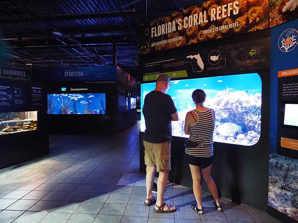 Florida Coral Reefs Mote Marine