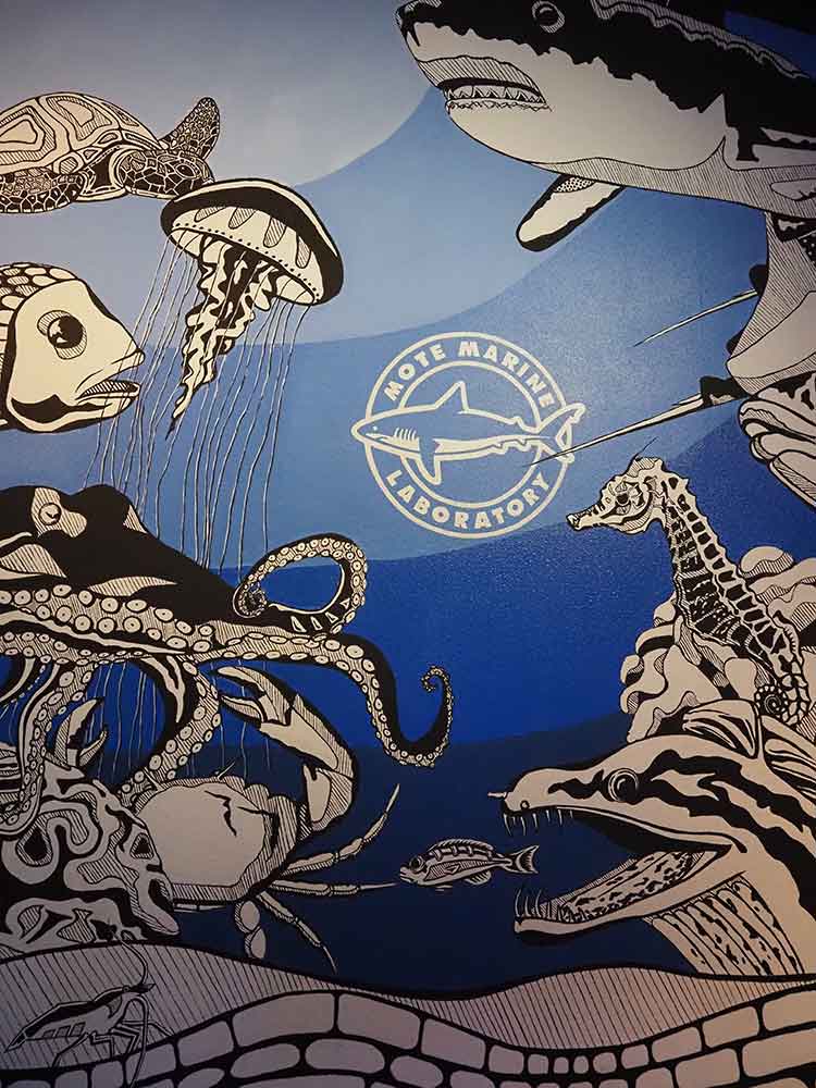 Mote Marine Aquairum Mural