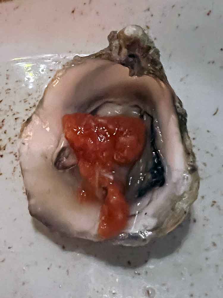 oyster element steak seafood pasta