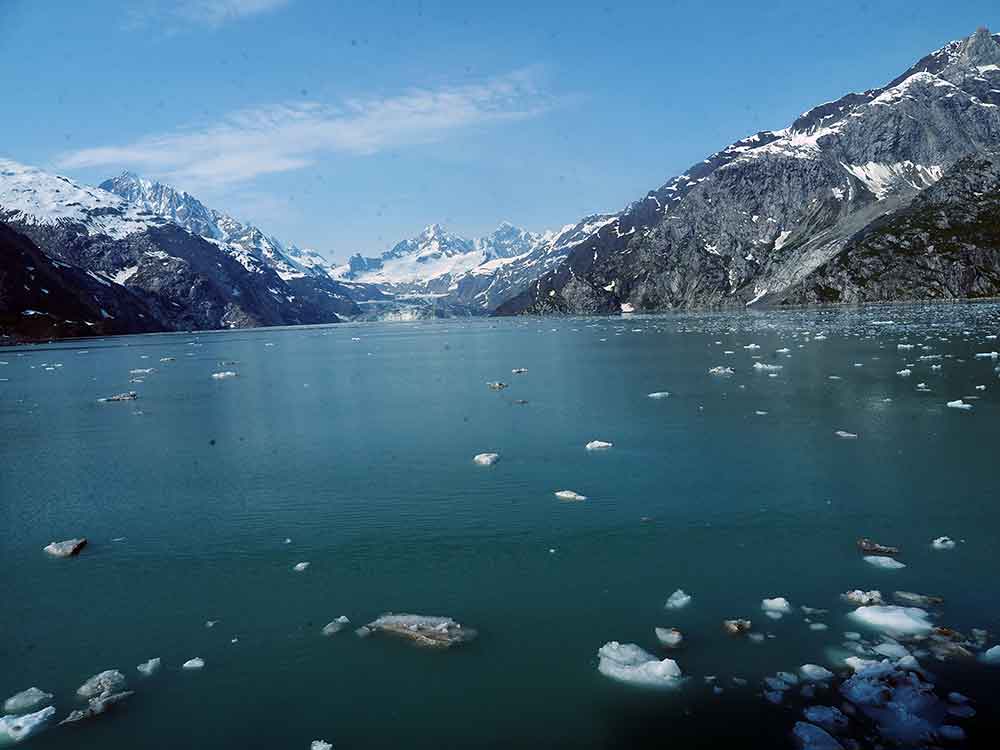 Holland America Koningsdam Glacier Bay with Icebergs