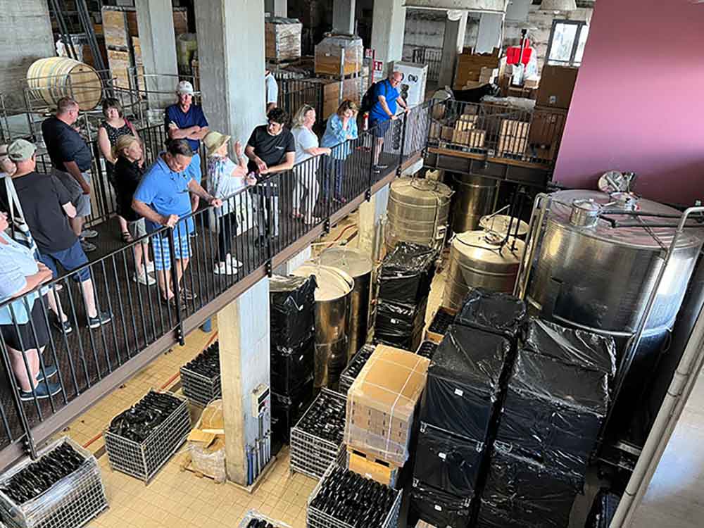 Production tour at Gambino Winery