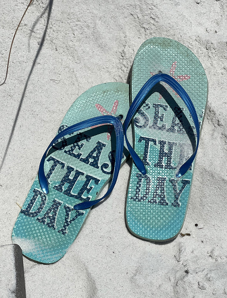 Seas the Day Flip-Flops on the sand