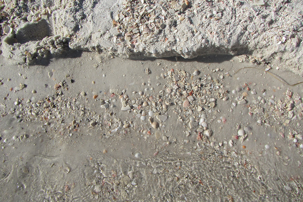Navarre Beach Sand with Shells 