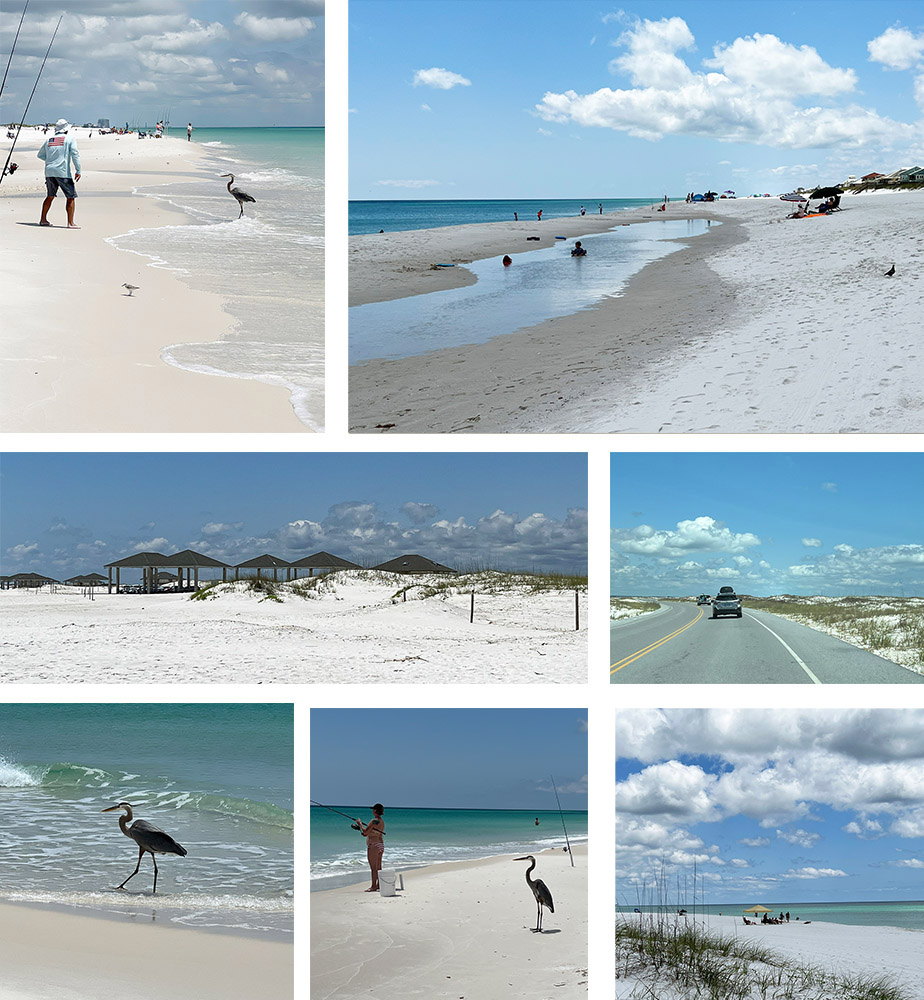 Collage of seven photos taken at Opal Beach in the Gulf Islands National Seashore
