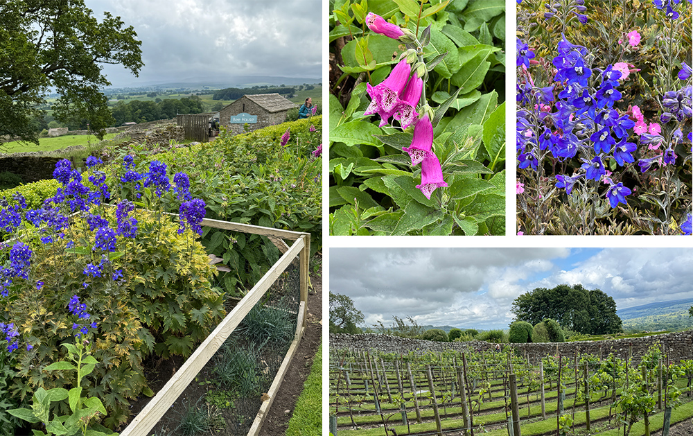 Several types of gardens and a small vineyard are part of the Bolton Castle grounds. 